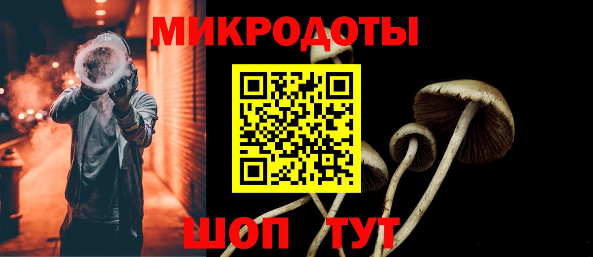 Галлюциногенные грибы MAGIC MUSHROOMS  Вход с VPN  Обнинск 